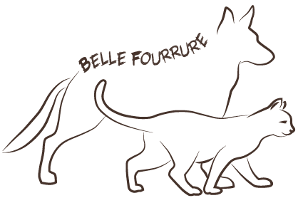 ImageSiteBelleFourrure